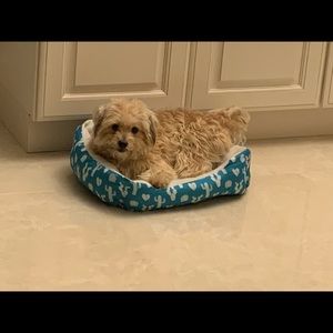 Meet your Posher, Nadia